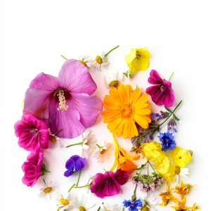 Botany of Flowers Illustrated Guide by Batsford Kindle eBook-0