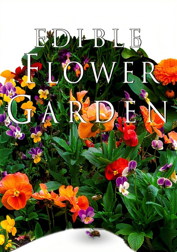 Edible Garden Edible Flowers Guide by Periplus Editions Kindle eBook-0